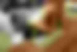 国产欧美视频在线观看,在线观影新体验