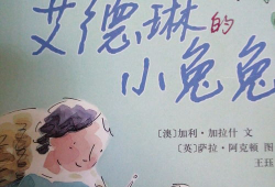 绘本故事视频,奇妙的冒险之旅